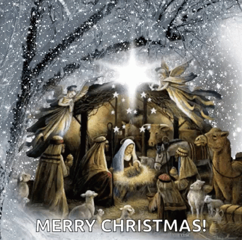 Merry Christmas Happy Holidays GIF. This 498 x 494 animated GIF is part of our birth of jesus christ collection. Related themes include merry christmas…