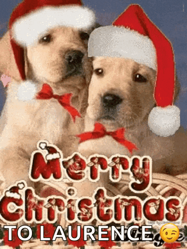Merry Christmas Happy Holidays GIF