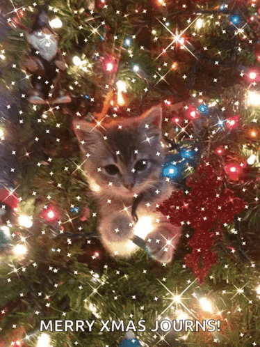 Merry Christmas Happy New Year To All GIF