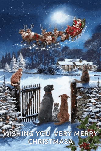 Merry Christmas Meme