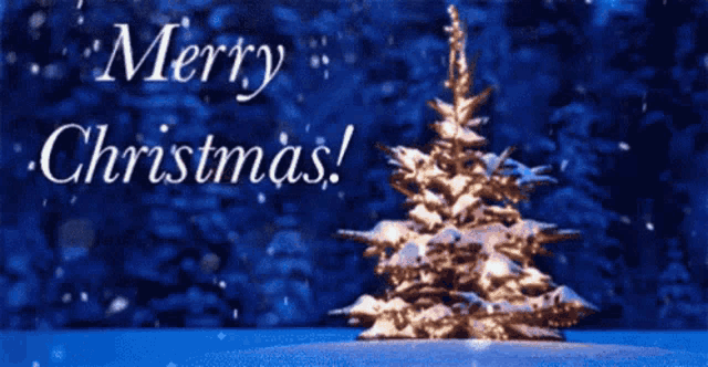 Merry Christmas GIF
