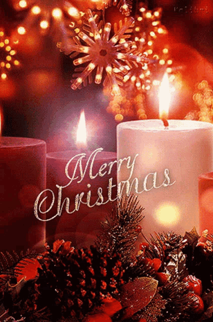 Merry Christmas GIF
