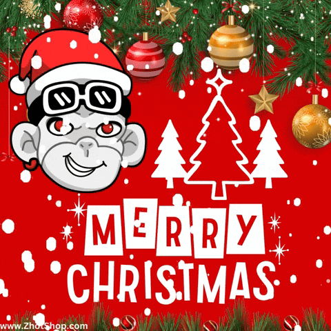 Merry Christmas Xmas GIF