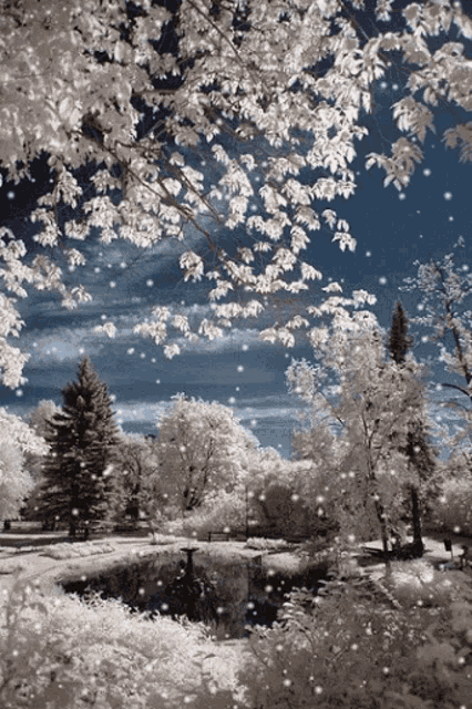 Merry Cjhristmas GIF