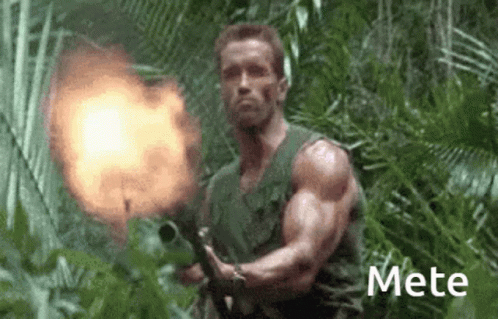 Meteschwarzenegger GIF
