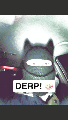 Mevlinbatman Derp GIF