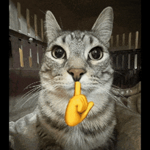 Mewing Cute GIF