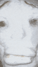 Mewing GIF