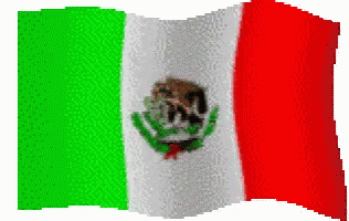 Mexico Flag GIF