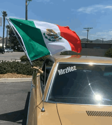 Mexico Mx GIF