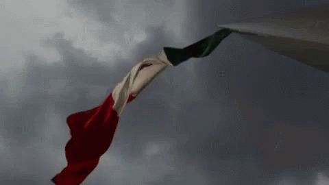 Mexico World Cup GIF