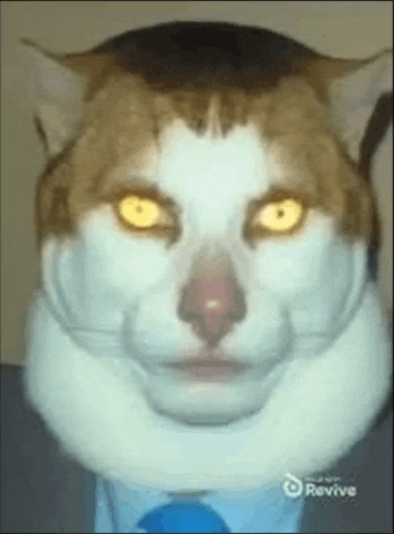 Mfw Meme