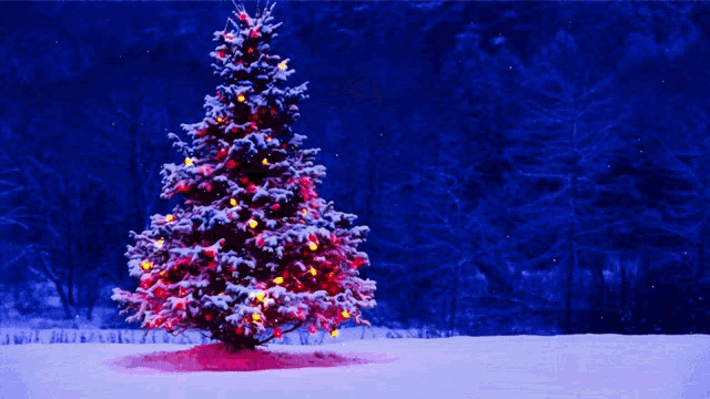 Mgengif GIF