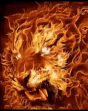 Miadije3 Miadije2 GIF
