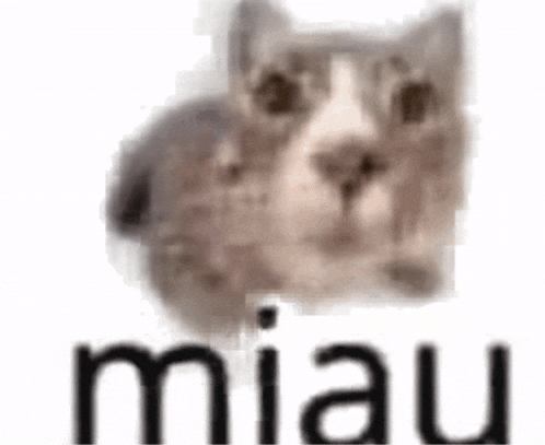 Miau Hd Adobe After Effects Glass Breaking Preset GIF