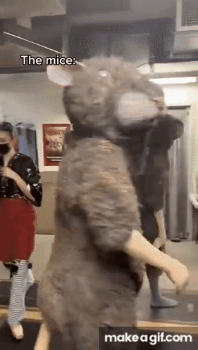 Mice Dancing GIF