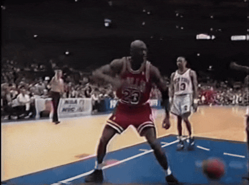 Michael Jordan Jorgoat GIF