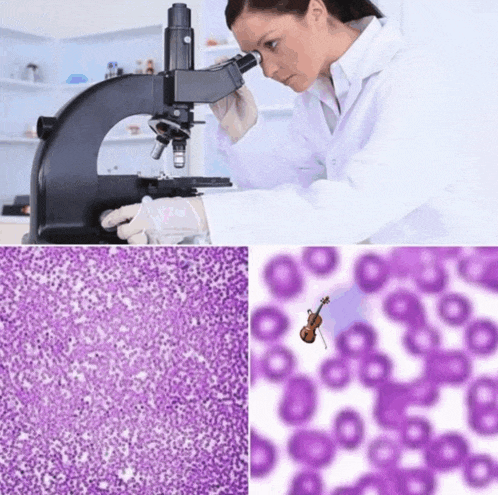 Microscopic Violin Pathologist Meme Meme
