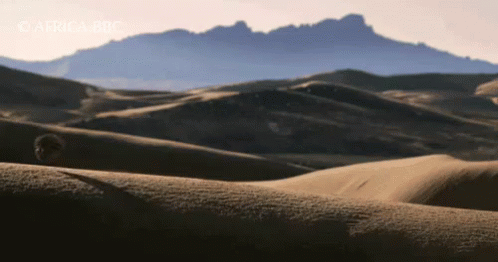 Middle Of Nowhere GIF