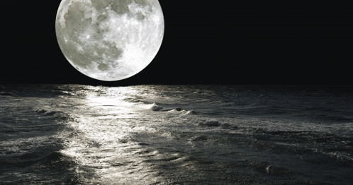 Midipunkz Moon GIF