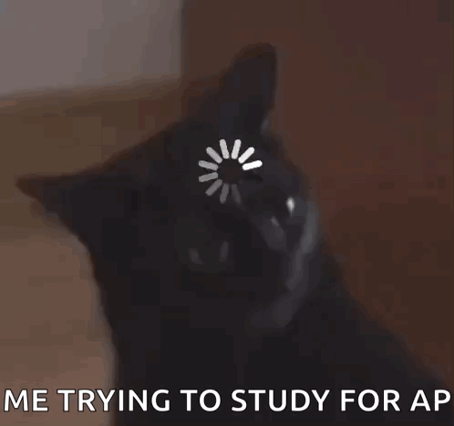 Midnight The Cat Stopped Working Cat Meme GIF