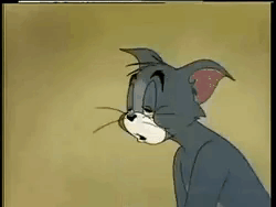 Midnightgif300 GIF