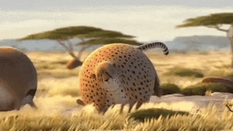 Midnightgif300 GIF
