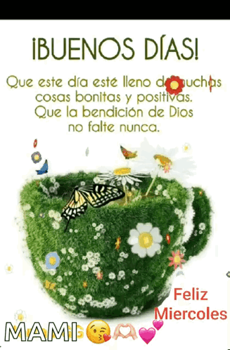 Miercoles Happy Wednesday GIF
