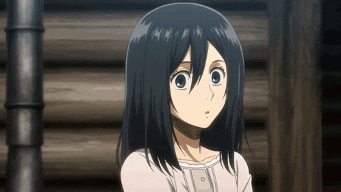 Mikasa Ackerman Shingeki No Kyojin GIF
