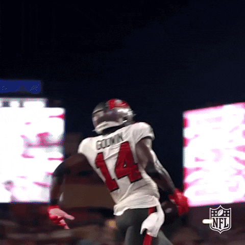 Mike Evans Chris Godwin GIF