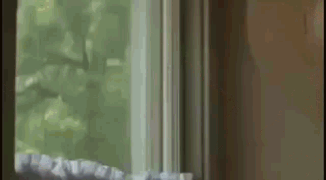Mike Myers GIF
