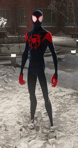 Miles Morales Into The Spider-verse GIF. This 263 x 498 animated GIF is part of our spiderman dancing collection. Related themes include spider man. Created…