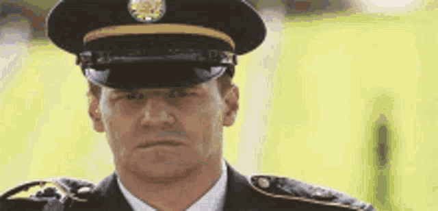Military Saludo GIF