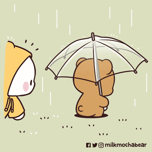 Milk And Mocha Milk And Mocha Bear GIF