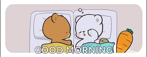 Milk And Mocha Milkbear GIF
