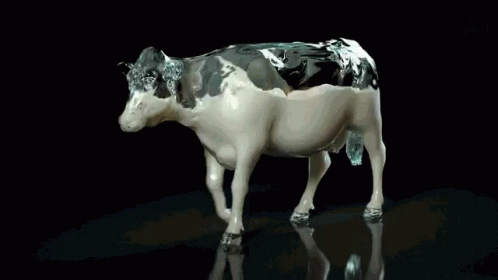 Milk Cow GIF. This 498 x 280 animated GIF is part of our cow milk collection. Related themes include cow. Created by mrmeany654. View the original…