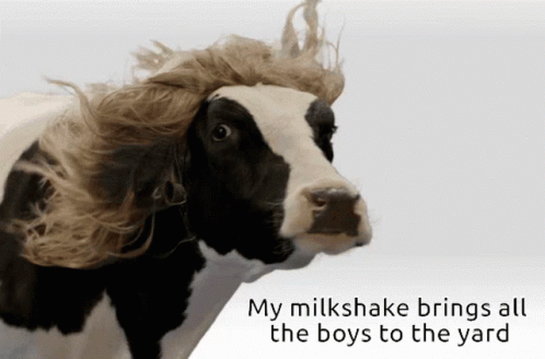 Milkshake Cow GIF. This 498 x 328 animated GIF is part of our cow milk collection. Related themes include cow. Created by firstlove. View the original…