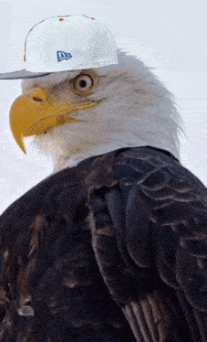 Milli Meme Pretty Lights Music GIF