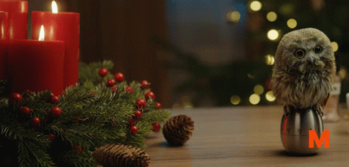 Mimi Migros GIF. This 498 x 239 animated GIF is part of our guten morgen zweiter advent collection. Related themes include christmas, cute, weihnachten…