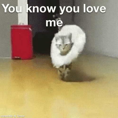 Mimosa Good GIF