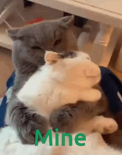 Mine Cuddles GIF