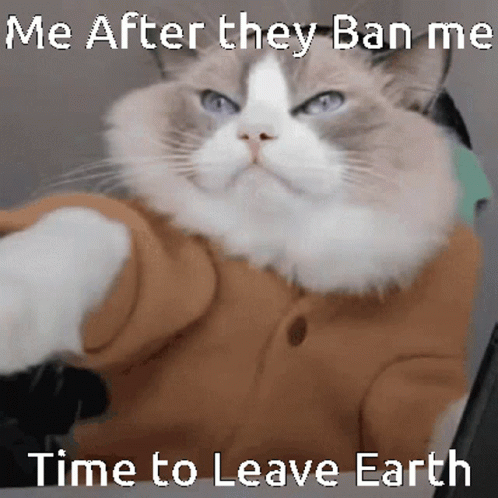 Mineberry Ban GIF