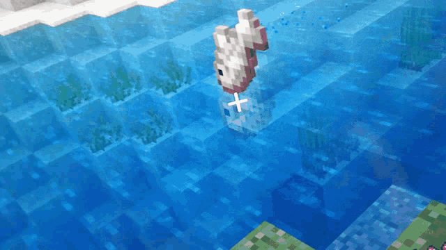 Minecraft Fish Scoober GIF