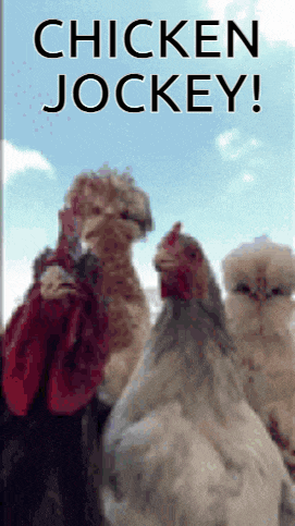 Minecraft Meme GIF