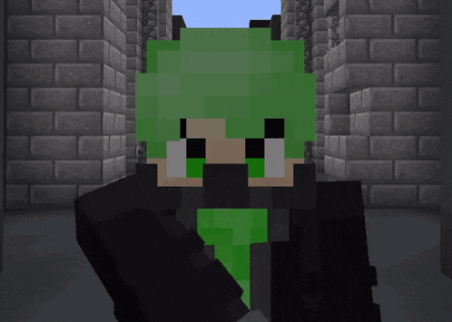Minecraft Sebie GIF