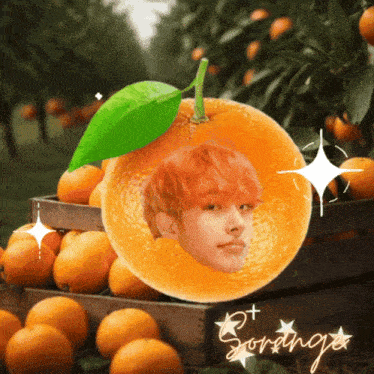 Mingi Sm GIF