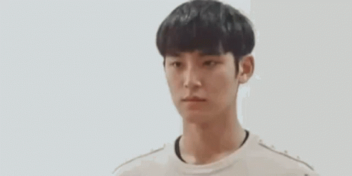 Mingyu Dk GIF