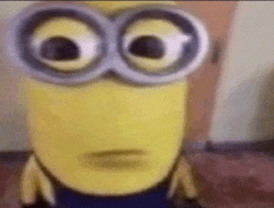 Minionstare Meme