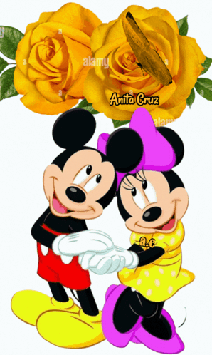 Minnie Y Micky GIF