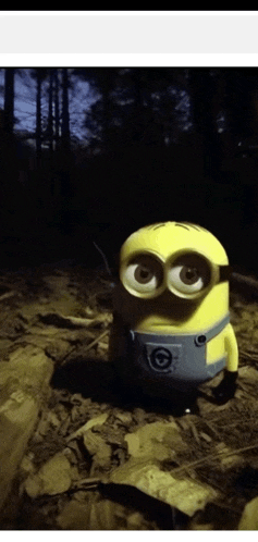 Minons Meme